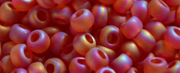 TOHO 11/o Round-Dark Ruby Transparent Rainbow Matte #11T165CF
